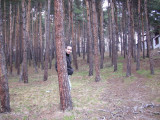 Георги
