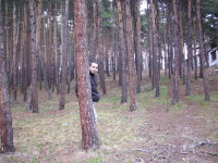 Георги